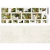 Лист с картинками 10х30 см "Тайга. Марки" (ScrapMania)