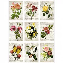 Скрап-карта A4 "Цветочный фейерверк" (ScrapMania)