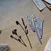 Нож "Сухоцветы", 3,2 см (Scrapfriend)