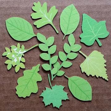 Набор украшений из цветного чипборда "Весенние листья" (Благолис)