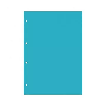 Набор пластиковых листов А4 "Прозрачные вертикальные. 4 отверстия", толщина 0,5 мм (CraftStory)