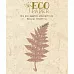 Нож для вырубки "Папоротник" (EcoPaper)