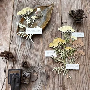 Нож "Пижма", 5,3х9 см (MimiCut)