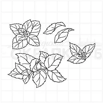 Штамп "Мята", 3,5х5,5 см (Скрапклуб)