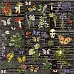 Бумага 30х30 см "Botany" (SunnyCraft)