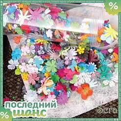 ШАНС Набор цветов Pillar Pack Mixed (PM)