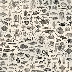 Набор бумаги 20х20 см "Мой капитан", 12 листов (ScrapMania)