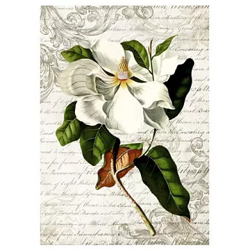 Тканевая карточка "Цветочный фейерверк. Цветок айвы" (ScrapMania)