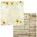 Набор бумаги 30х30 см "Sunflowers", 5 листов (ScrapAndMe)