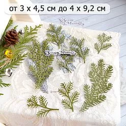 Нож "Еловый лес. Ветки хвои", 4х9,2 см (ScrapMania)