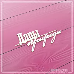 Чипборд "Дары природы", 7,4х3,4 см (СкрапМагия)