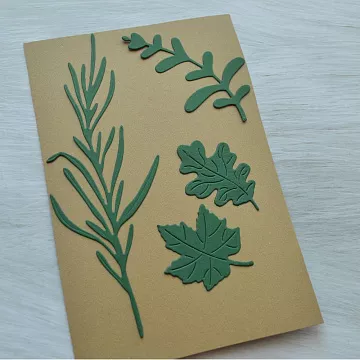 Набор вырубок "Гербарий. Дуб, клен и трава"