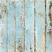 Бумага "Летняя феерия. Жаркие цветы" (ScrapMania)