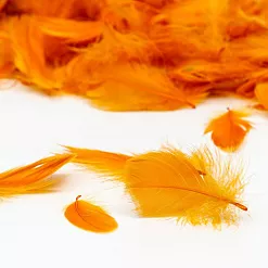 Набор перьев "Охра"