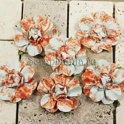 Цветы Belle Art, мистерия (PM)