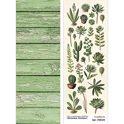 Лист с картинками 10х30 см "Ботаника. Кактусы" (ScrapMania)