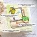 Нож "Рецепты старого буфета. Рамки с цветочками", 5,6х8 см (ScrapMania)