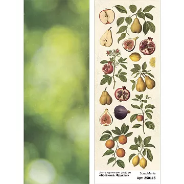 Лист с картинками 10х30 см "Ботаника. Фрукты" (ScrapMania)