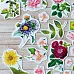 Набор высечек из бумаги "Летняя феерия", 44 шт (ScrapMania)