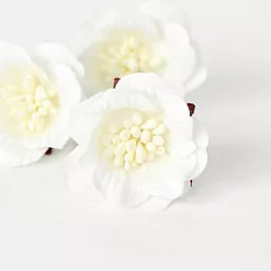 Цветок сенполии "Белый", 3 см, 1 шт (Craft) Цветок сенполии "Белый", 3 см, 1 шт (Craft)