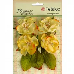 Набор цветов "Сливочный крем" (Petaloo)