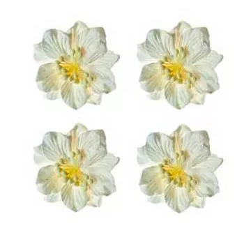 Набор гардений средних "Белые" без листочков, 5 см (ScrapBerry's)