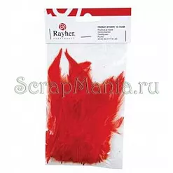Набор средних перьев "Модный красный" (Rayher)