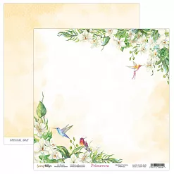 Бумага "Primavera 1" (ScrapBoys, PRIM-01