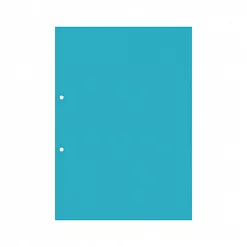 Набор пластиковых листов А4 "Прозрачные вертикальные. 2 отверстия", толщина 0,5 мм (CraftStory)