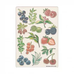 Набор украшений из чипборда "Цветной. Лесные ягоды" (Mr.Painter)