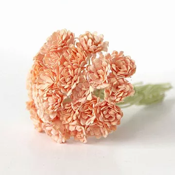 Букет гипсофил "Персиковые", 10 шт (Craft)