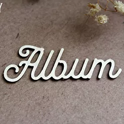 Украшение из чипборда "Album" (Fantasy) Украшение из чипборда "Album" (Fantasy)