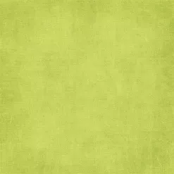 Бумага "Фономикс. Зеленый. Трава" (ScrapMania)