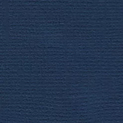 Кардсток "Южная ночь" (Mr.Painter)