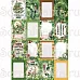 Набор карточек "Эра динозавров", 16 шт (ScrapMania)