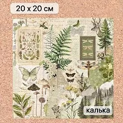 Калька 20х20 см "Заповедник 15", плотность 110 гр/м2 (ScrapMania)