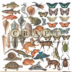 Бумага "Самая нужная. Фауна" (CraftPaper) Бумага "Самая нужная. Фауна" (CraftPaper)