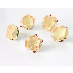 Цветок яблони "Светло-бежевый двухтоновый", 1 шт (Craft)