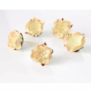 Цветок яблони "Светло-бежевый двухтоновый", 1 шт (Craft)