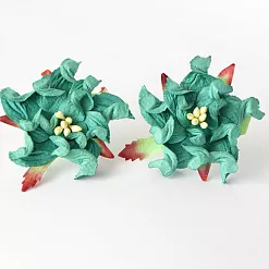 Гардения "Морская волна", 1 шт (Craft)