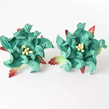 Гардения "Морская волна", 1 шт (Craft)