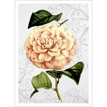 Тканевая карточка "Оранжерея. Персиковый георгин" (ScrapMania)