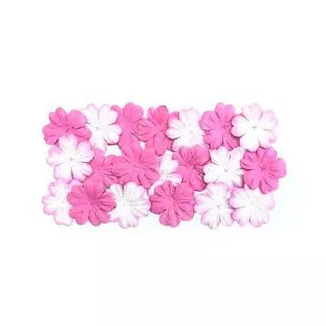 Набор бумажных цветочков "Оттенки розового" (ScrapBerry's)