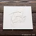 Заготовка для тиснения "Family album" (ArtLines)