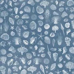 Набор бумаги 15х15 см "Мой капитан", 12 листов (ScrapMania)