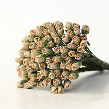 Букет микро-роз с закрытым бутоном "Кофе с молоком", 25 шт (Craft)