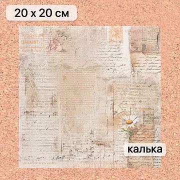 Калька 20х20 см "Сезон ромашек 16", плотность 110 гр/м2 (ScrapMania)
