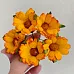 Букет крупных ромашек "Оранжевый", 5 шт (Craft, Ромашки 4 см)