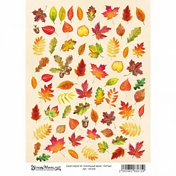Скрап-карта А4 "Школьный вальс. Листья" (ScrapMania)