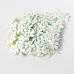 Набор маленьких цветов "Мятные с белым", 20 шт (Craft)